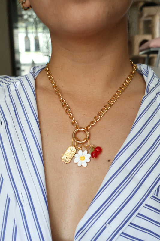 Collar intercambiable Dulzura