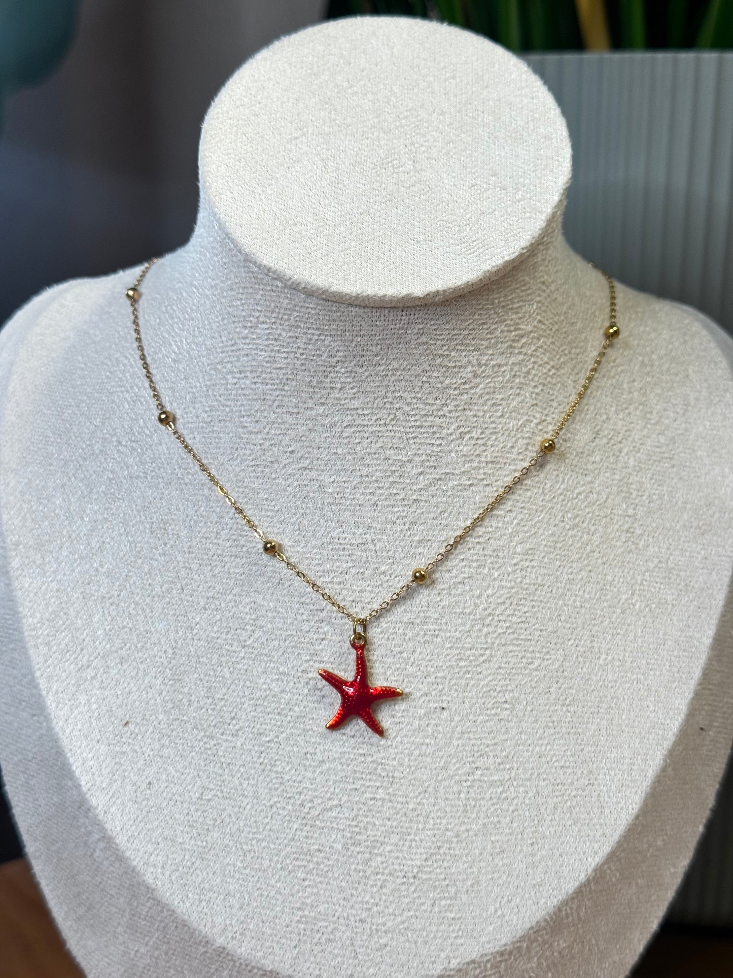 Collar con Dije Estrella Marina