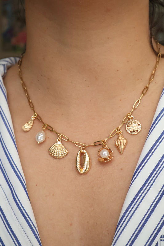 Collar charm Santa Marta