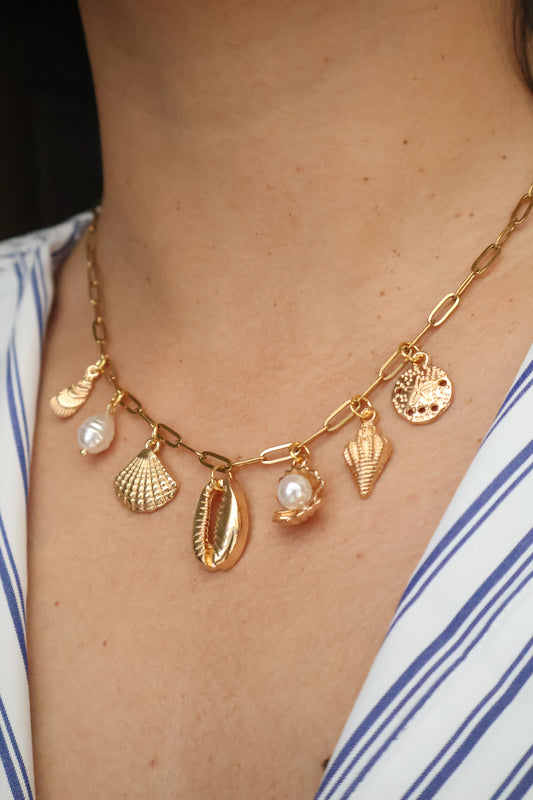 Collar charm Santa Marta